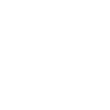 Icon4h